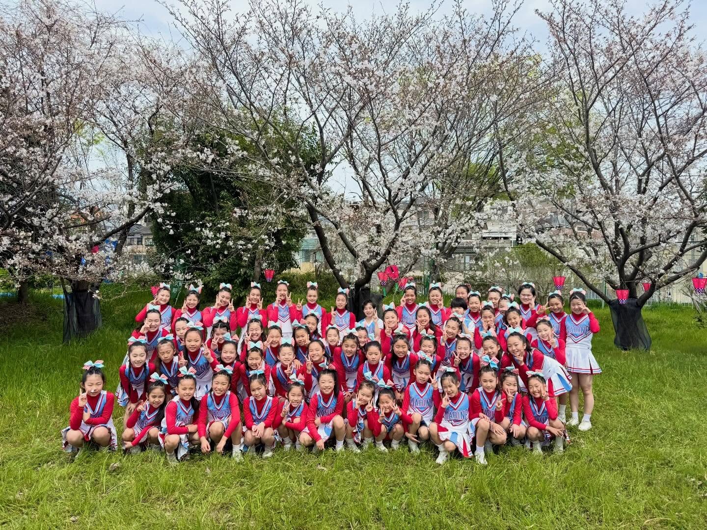 満開の桜の下で撮影した津久野校区さくら祭り出演メンバー